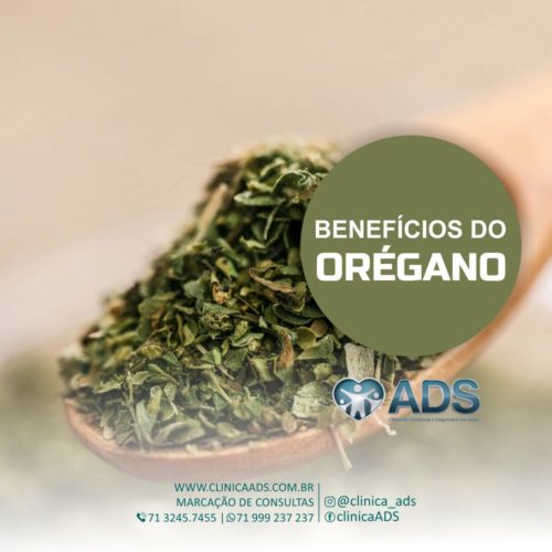 Benefícios do Orégano