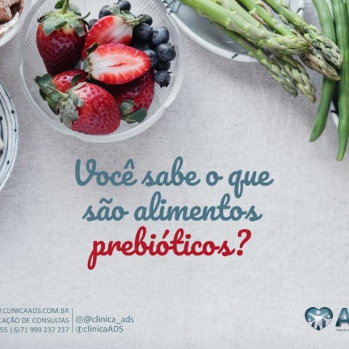 Os prebióticos, alimentos poderosos!