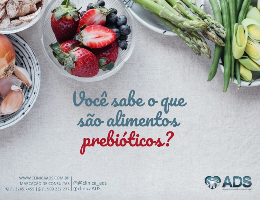 Os prebióticos, alimentos poderosos!