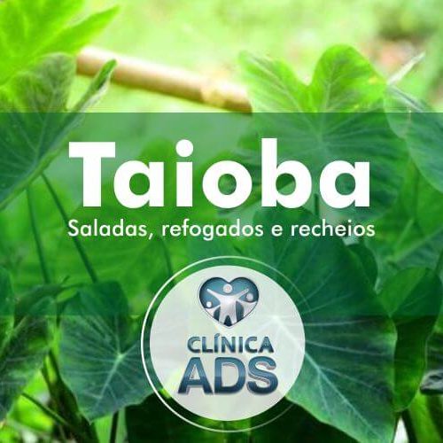 Taioba, por este uso você não esperava.