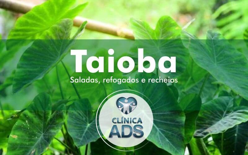 Taioba, por este uso você não esperava.