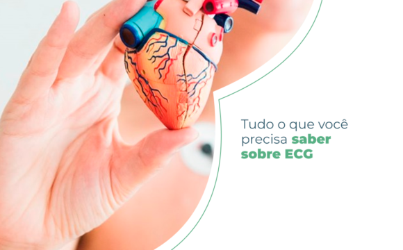 Tudo o que você precisa saber sobre ECG Tudo o que você precisa saber sobre ECG