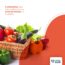 5 alimentos que irão melhorar sua produtividade no trabalho